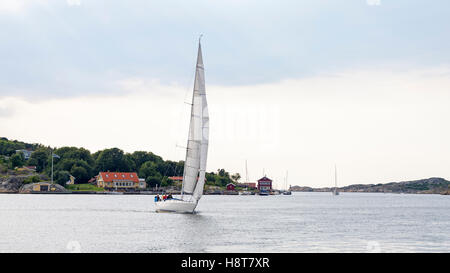 Voilier moderne en mer en été dans l'archipel de Göteborg sur la côte ouest de la Suède, modèle libération : N° des biens : Non. Banque D'Images