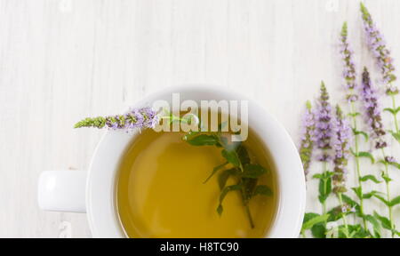 Le thé à la menthe à l'aide de fines herbes dans un verre Banque D'Images