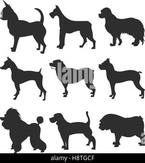 Collection de chiens silhouette. Boxer et Beagle, Bouledogue et Chihuahua, vector illustration Illustration de Vecteur