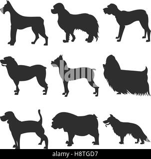 Jeu de chiens silhouette noire. Rottweiler et Berger, spaniel et terrier, vector illustration Illustration de Vecteur