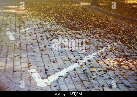 Les feuilles d'automne stationnement brun Banque D'Images