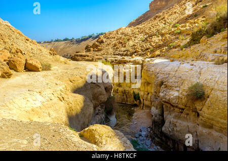 La rivière de montagne dans une crevasse étroite dans la réserve naturelle d'Ein Gedi, Israël. Banque D'Images