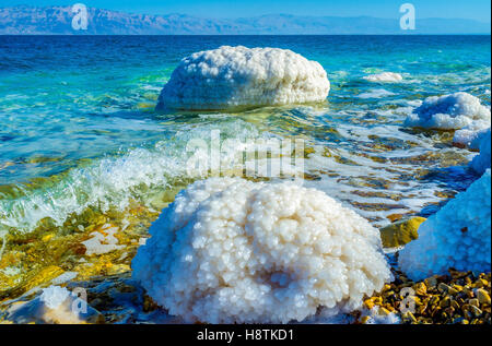 La rive de la Mer Morte avec les pierres couvertes de cristaux de sel, Ein Gedi, Israël. Banque D'Images