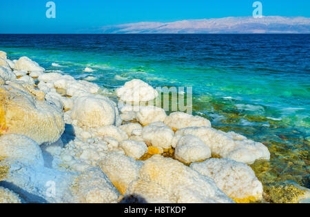 L'environnement hostile de la mer morte à cause de sa salinité, le rendant complètement inhabitées, Ein Gedi, Israël. Banque D'Images