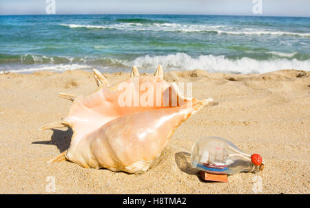 Big shell et voilier en bouteille Banque D'Images