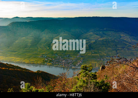 Weißenkirchen in der Wachau : village Wösendorf in der Wachau, Danube, vignobles, Wachau, Niederösterreich, Autriche, Banque D'Images