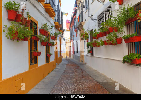 Rue des fleurs à Cordoue, Andalousie, Espagne Banque D'Images