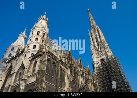 La cathédrale Saint-Étienne de Vienne, Autriche, Europe Banque D'Images