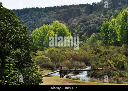 Afrique du Sud : pont en bois dans le paysage verdoyant de Mpumalanga, l'endroit où le soleil se lève à l'Africain, Xhosa, Ndebele et langues Zoulou Banque D'Images