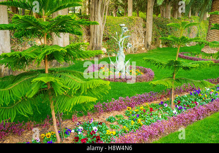 Les parterres avec des pensées et les conifères dans Jardins de Bahai à Haïfa, Israël. Banque D'Images