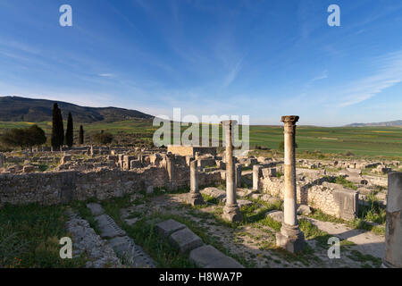 La ville antique de Volubilis Zerhoun dans la région du Massif du Maroc Banque D'Images