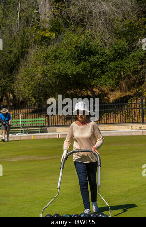 San Francisco, CA, USA, Senior Woman Playing Lawn Bowling, jeu de boules lyonnaises, le Golden Gate Park, Grassy Field Banque D'Images