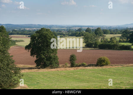 Une vue sur la campagne en direction de Stratford-upon-Avon de Snitterfield, Warwickshire, England, UK Banque D'Images