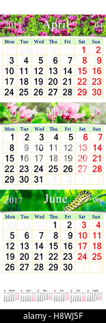 Calendrier de bureau pendant trois mois Avril Mai et juin 2017 avec des images de la nature. Calendrier mural pour le deuxième trimestre de 2017 Banque D'Images
