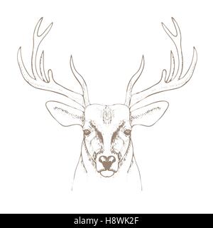 Tête de cerf à la main avec des cornes vector illustration Illustration de Vecteur