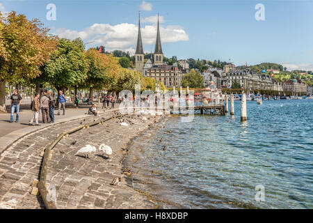 Les touristes se détendre au bord du lac Lucerne Schweizerhofquai en été, Lucerne, Suisse Banque D'Images