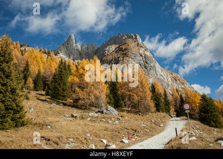 Après-midi d'automne dans les Alpes Carniques près de Sappada, Italie. Dolomites. Banque D'Images