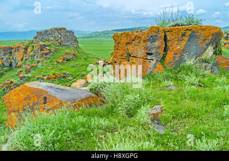 Le lichen jaune vif sur le vieux rochers les fait ressembler à dorures, Saro, la Géorgie. Banque D'Images