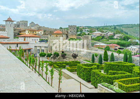 Les buissons de thuja le long de la manière de Rabati Château, Akhaltsikhe, Géorgie. Banque D'Images