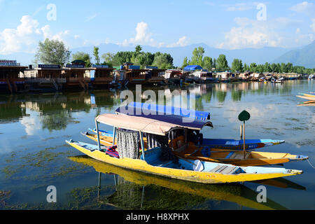 Shikara en barque dans le lac Dal de Srinagar au Cachemire Inde vallée Banque D'Images