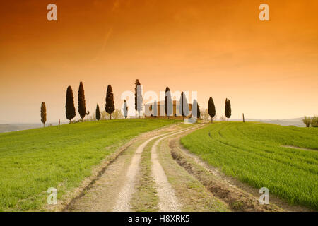 L'humeur du soir, ferme près de Pienza, rangée de cyprès, Toscane, Italie, Europe Banque D'Images