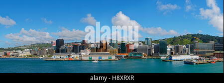 Vue panoramique de la Baie Orientale et de Lambton, Harbour, île du Nord Wellington, Nouvelle-Zélande Banque D'Images