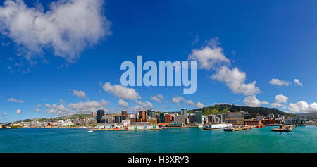 Vue panoramique de la Baie Orientale et de Lambton, Harbour, île du Nord Wellington, Nouvelle-Zélande Banque D'Images