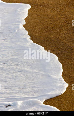 Vague sur la plage à Anglet, France, Europe Banque D'Images