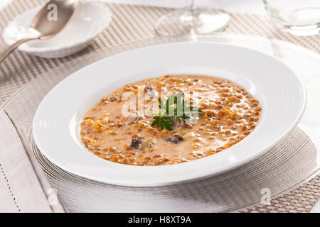 Soupe aux lentilles fraîches maison servi sur une assiette, garnir de persil. Banque D'Images