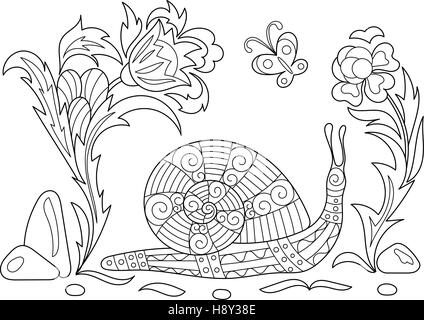 Zentangle caricature stylisée rampant escargot parmi les fleurs. Esquisse pour coloriage antistress adultes. Hand drawn doodle, zentangle, floral éléments de conception pour le livre de coloriage. Illustration de Vecteur