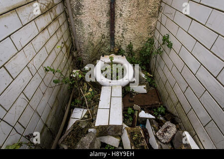 Les mauvaises herbes poussent à l'intérieur de l'établissement The Victorian ladies les toilettes sur Birnbeck Pier, près de Weston-super-Mare, Somerset, qui a ouvert ses portes le 5 juin 1867 et est maintenant abandonné et en très mauvais état. Banque D'Images