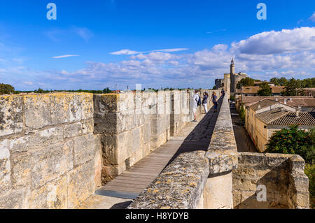 La tour de Constance Vue des remparts d'Aigues-Mortes, Camargue AIGUES-MORTES - FRANCE Banque D'Images