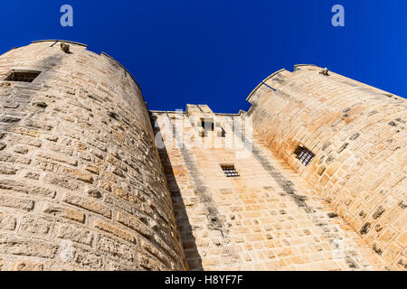 La porte d'Italie ou Porte Neuve côté Sud Les Remparts d'Aigues-Mortes, Camargue AIGUES-MORTES - FRANCE Banque D'Images