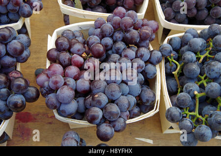 Vin rouge grappes de raisins en bois blanc baskets closeup Banque D'Images