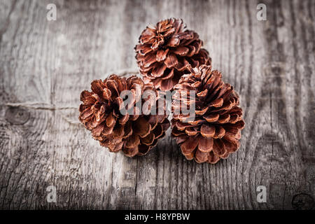 Fond en bois naturel avec trois cônes de pin Banque D'Images