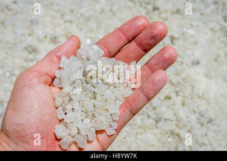 Holding big des cristaux de sel dans la main à Chaqia salt lake Banque D'Images