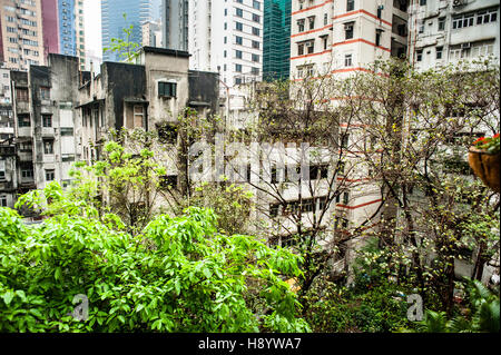 Hong Kong, 2013 La zone juste à l'ouest du centre de l'île de Hong Kong a beaucoup changé au cours des 20 dernières années. Banque D'Images