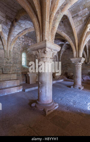 L'Abbaye du Thoronet dans le Var région de Provence, France. Banque D'Images