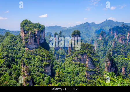 Vue sur grand Colonnes de grès et des formations dans le parc national de Zhangjiajie, Hunan, Chine Banque D'Images