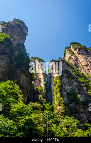 Vue sur grand Colonnes de grès et des formations dans le parc national de Zhangjiajie, Hunan, Chine Banque D'Images