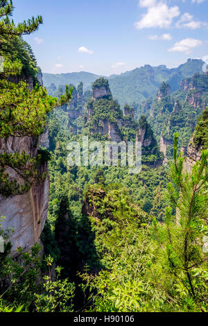 Vue sur grand Colonnes de grès et des formations dans le parc national de Zhangjiajie, Hunan, Chine Banque D'Images