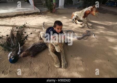 Gaza, territoire palestinien. 8 janvier, 2017. Un garçon palestinien joue avec un lion momifié au zoo dans le sud de la bande de Gaza ville de Rafah, le 8 janvier 2017. Le zoo, le premier du genre à Gaza et la deuxième dans les territoires palestiniens, fait face à la clôture en raison de problèmes économiques causés par le blocus israélien. © Khaled Omar/Xinhua/Alamy Live News Banque D'Images