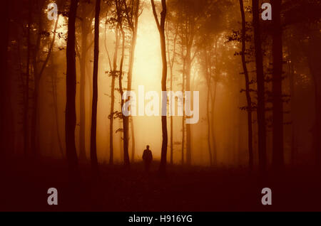 Scène fantastique, l'homme à la silhouette mystérieuse forêt dans la lumière au coucher du soleil Banque D'Images