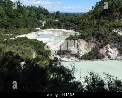 Piscine d'huître au Parc Thermal de Waiotapu, Rotorua, île du Nord, Nouvelle-Zélande Banque D'Images