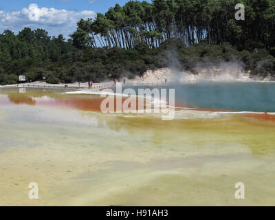 Palette de l'artiste au Parc Thermal de Waiotapu, Rotorua, île du Nord, Nouvelle-Zélande Banque D'Images