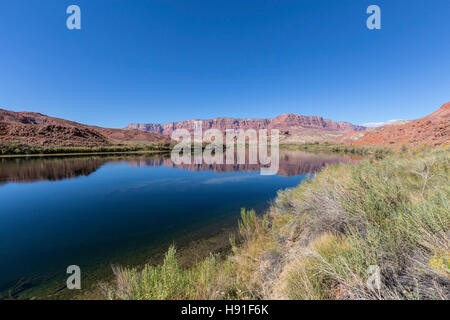 Colorado River près de Lees Ferry à Glen Canyon National Recreation Area dans le Nord de l'Arizona. Banque D'Images