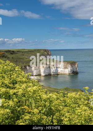 Selwicks Bay, Flamborough Head, East Yorkshire Banque D'Images