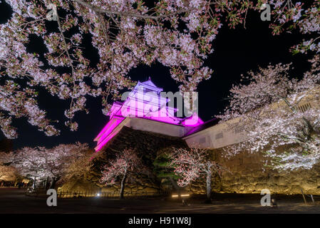 La lumière des fleurs de cerisier arbre en Château Tsuruga (château Aizu) Banque D'Images