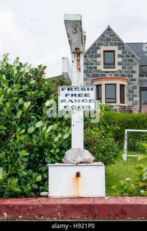 Un nouveau des Œufs de signer avec une honnêteté fort à l'extérieur d'une maison dans les Hébrides extérieures. Banque D'Images