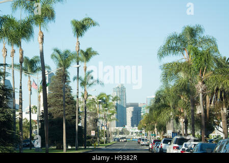 Rue bordée de palmiers avec vue sur le centre-ville de San Diego Banque D'Images